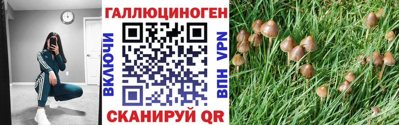 Галлюциногенные грибы мухоморы Берёзовка